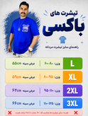 تیشرت مردانه اورجینال فول گلدوزی کپ باکسی